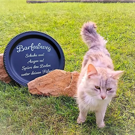 Erlebnishof Aumayr Gutau