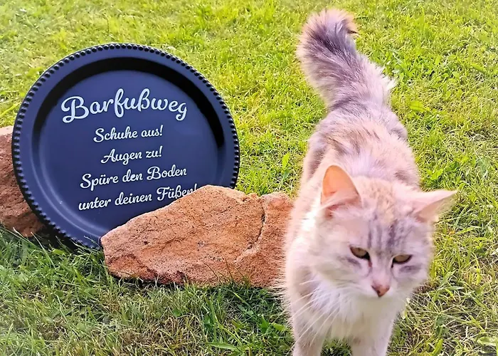 Erlebnishof Aumayr Gutau